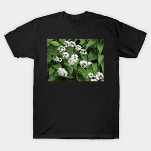 Wild Garlic T-Shirt